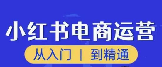 顽石小红书电商高阶运营课程，从入门到精通，玩法流程持续更新-网创资源吧