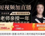 张越·短视频+直播,自然流三频共振起号实操课,短视频所有流量玩法讲解-网创资源吧
