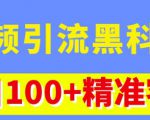 视频引流黑科技玩法，不花钱推广，视频播放量达到100万+，每日100+精准客源-网创资源吧