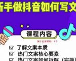 新手做抖音如何写文案,手把手实操如何拆解热门文案-网创资源吧