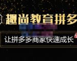趣尚教育·拼多多运营实操VIP特训营,让拼多多商家快速成长-价值3180元-网创资源吧