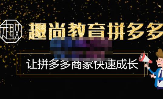 趣尚教育·拼多多运营实操VIP特训营，让拼多多商家快速成长-价值3180元-网创资源吧