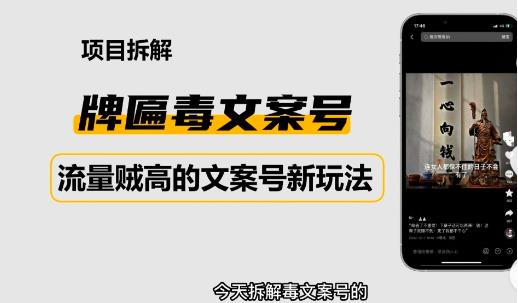 2023抖音快手毒文案新玩法，牌匾文案号，起号快易变现-网创资源吧