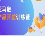 亚马逊产品开发训练营,能爆单的产品开发方法,助你突出重围-网创资源吧
