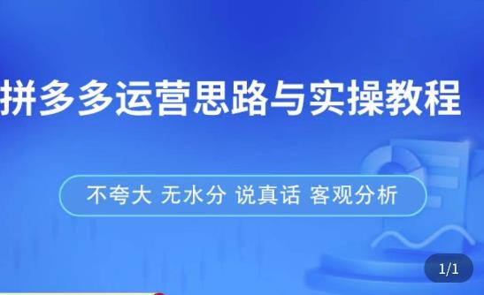 拼多多店铺运营思路与实操教程，快速学会拼多多开店和运营，少踩坑，多盈利-网创资源吧