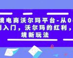 跨境电商沃尔玛平台-从0基础到入门,沃尔玛的红利,跨境新玩法-网创资源吧