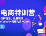 美团电商特训营:美团·店群玩法,无脑铺货月产出6000-15000+精细化月产2w+-网创资源吧