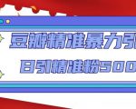 豆瓣精准暴力引流,日引精准粉500+【12课时】-网创资源吧