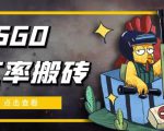 外面9800的CSGO汇率搬砖项目,一个月轻松赚几千【选品软件+详细教程】-网创资源吧