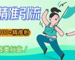 soul精准引流系列课程,一天引流100+精准粉,适合各类行业-网创资源吧