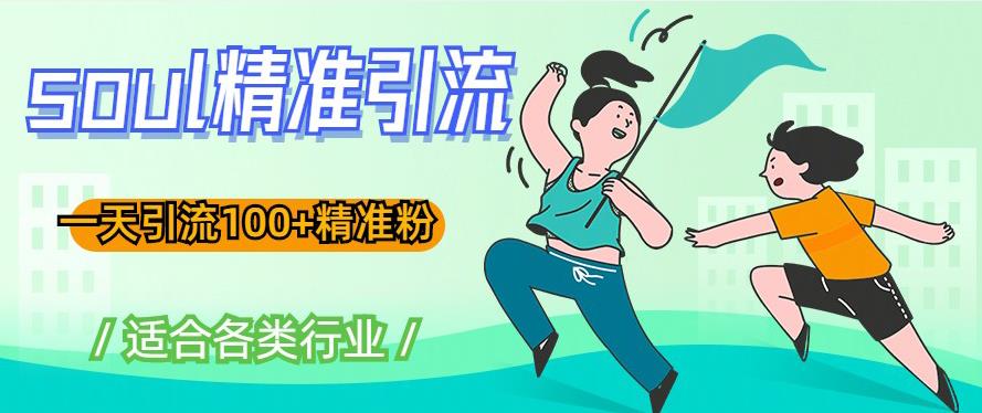 soul精准引流系列课程，一天引流100+精准粉，适合各类行业-网创资源吧