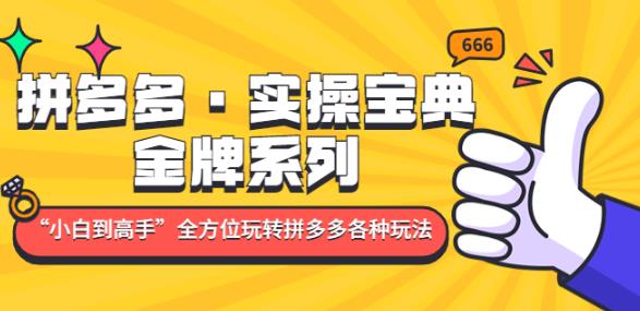 拼多多·实操宝典：金牌系列“小白到高手”带你全方位玩转拼多多各种玩法-网创资源吧
