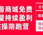 抖音商城搜索持续盈利陪跑成长营,抖音商城搜索从0-1、从1到10的全面解决方案-网创资源吧