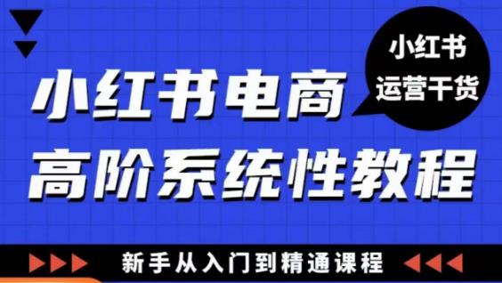 小红书电商高阶系统教程，新手从入门到精通系统课-网创资源吧