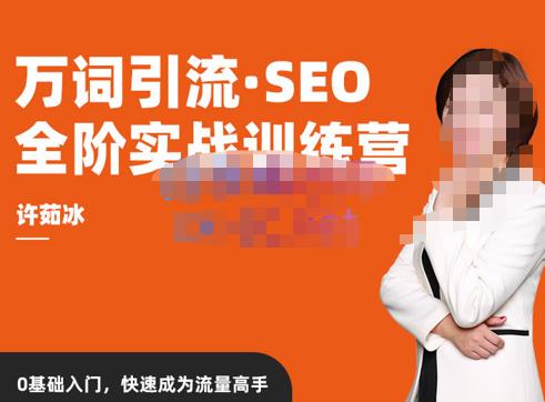 许茹冰·万词引流-SEO全阶实战训练营，0基础入门，快速成为流量高手-网创资源吧