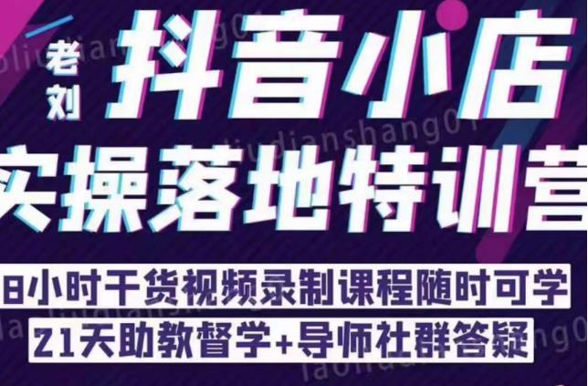 抖音小店实操落地特训营：抖音小店无货源精细化运营，抖店商品卡流量（22节）-网创资源吧