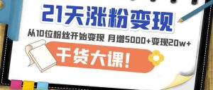 21天精准涨粉变现干货大课:从10位粉丝开始变现月增5000+变现20w+-网创资源吧