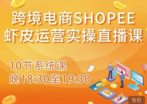 跨境电商Shopee虾皮运营实操直播课,从零开始学,入门到精通(10节系统课)-网创资源吧