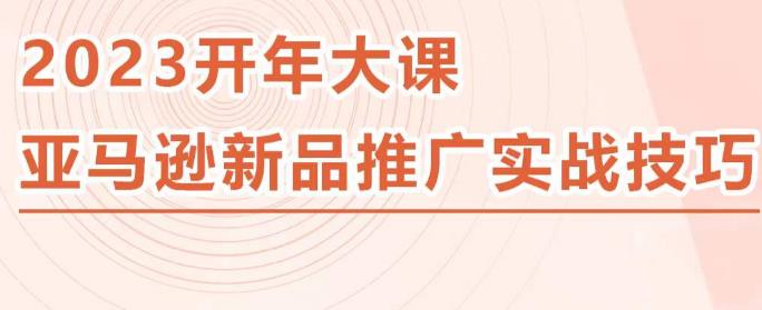 2023亚马逊新品推广实战技巧，线下百万美金课程的精简版，简单粗暴可复制，实操性强的推广手段-网创资源吧