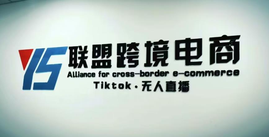 YS联盟·Tiktok无人直播，不出镜不剪辑不拍摄不发货无售后的跨境短视频躺赚玩法-网创资源吧