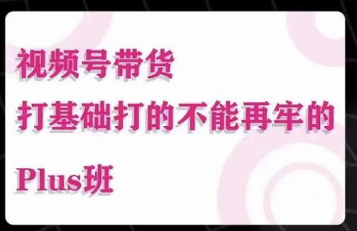 大播汇·视频号带货Puls班，视频号底层逻辑，起号自然流鱼塘等玩法-网创资源吧