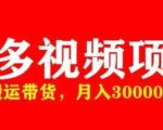 多多带货视频快速50爆款拿带货资格，搬运带货，月入30000【全套脚本+详细玩法】-网创资源吧