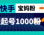 抖音快手三天起号涨粉1000宝妈粉丝的核心方法【详细玩法教程】-网创资源吧