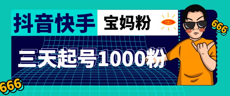 抖音快手三天起号涨粉1000宝妈粉丝的核心方法【详细玩法教程】-网创资源吧