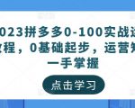 2023拼多多0-100实战运营教程,0基础起步,运营知识一手掌握-网创资源吧