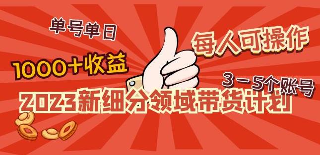 2023新细分领域带货计划：单号单日1000+收益不难，每人可操作3-5个账号-网创资源吧