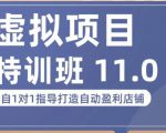 陆明明·虚拟项目特训班(10.0+11.0),0成本获取虚拟素材,0基础打造自动盈利店铺-网创资源吧