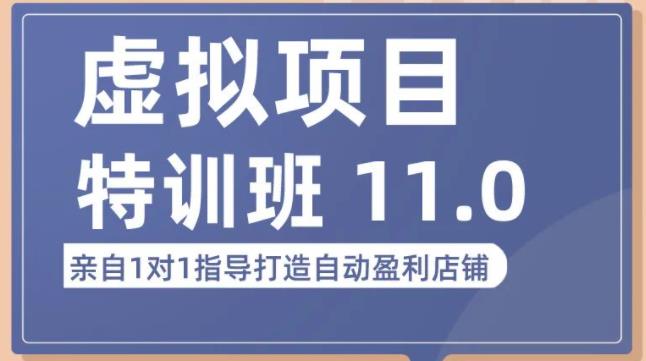 陆明明·虚拟项目特训班（10.0+11.0），0成本获取虚拟素材，0基础打造自动盈利店铺-网创资源吧