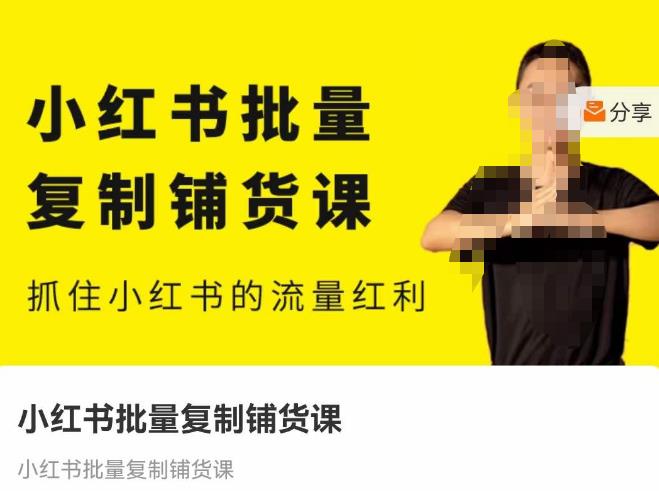 张宾·小红书批量复制铺货课，抓住小红书的流量红利 （更新2023年2月）-网创资源吧