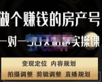 刘广标·同城房产号线上陪跑课,拍摄、剪辑、写文案、直播,做一个具有潜力价值的房产号-网创资源吧