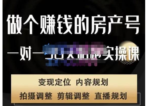刘广标·同城房产号线上陪跑课，拍摄、剪辑、写文案、直播，做一个具有潜力价值的房产号-网创资源吧