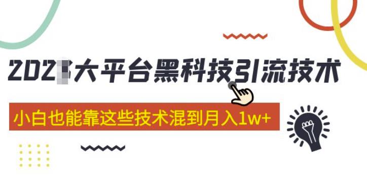 大平台黑科技引流技术，小白也能靠这些技术混到月入1w+(2022年的课程）-网创资源吧