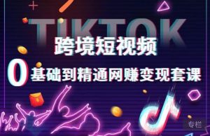 跨境短视频TIKTOK 0基础到精通网赚变现套课,跨境短视频独立站带货变现技巧-网创资源吧