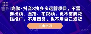 高鹏·抖音X拼多多运营项目,不需要出镜、直播、拍视频,不需要花钱推广,不用囤货,不用自己发货-网创资源吧