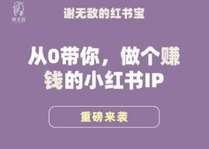 谢无敌·小红书运营大宝典,从0带你做个赚钱的小红书IP-网创资源吧