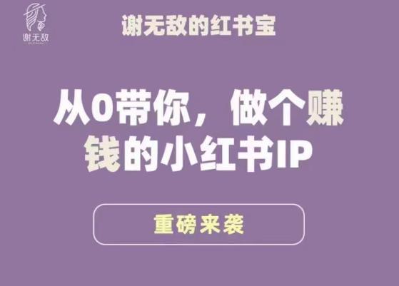 谢无敌·小红书运营大宝典，从0带你做个赚钱的小红书IP-网创资源吧