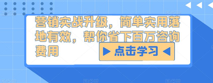 营销实战升级，简单实用落地有效，帮你省下百万咨询费用-网创资源吧