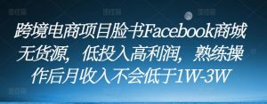 跨境电商项目脸书Facebook商城无货源,低投入高利润,熟练操作后月收入不会低于1W-3W-网创资源吧