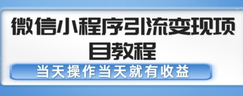 微信小程序引流变现项目教程，当天操作当天就有收益，变现不再是难事-网创资源吧