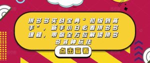 拼多多实战宝典“初级到高手”,新手小白必看拼多多课程,带你全方位解读拼多多各种玩法-网创资源吧