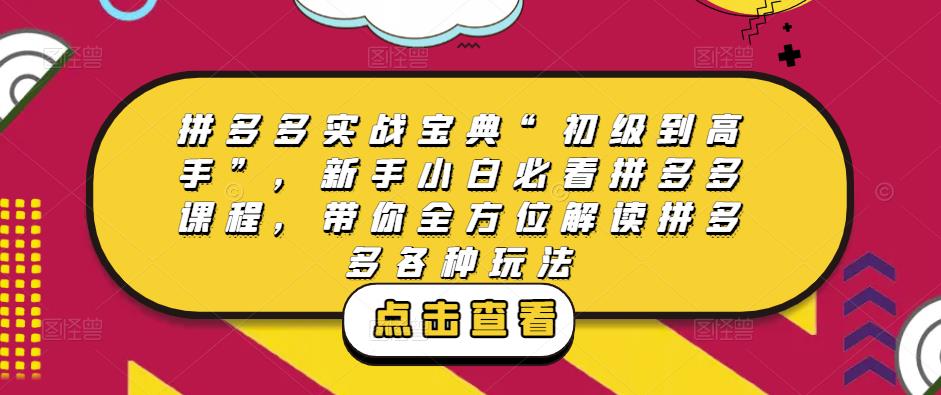 拼多多实战宝典“初级到高手”，新手小白必看拼多多课程，带你全方位解读拼多多各种玩法-网创资源吧