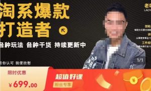 锋投老叶全店动销,淘系干货汇总,各种玩法,淘系爆款打造者-网创资源吧