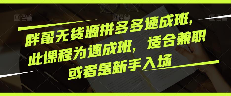 胖哥无货源拼多多速成班，此课程为速成班，适合兼职或者是新手入场-网创资源吧