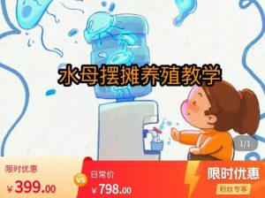 水母摆摊教学，包括摆摊技术、养殖技术、拿货渠道、抖音运营等-网创资源吧