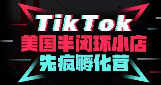 疯人院·TikTok美国半闭环小店孵化营，抢占TikTok美国蓝海市场，开店、运营、带货、投流全实操-网创资源吧