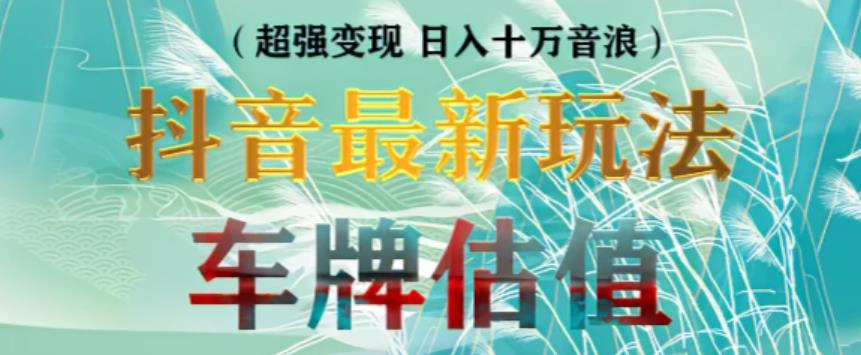 抖音最新无人直播变现直播车牌估值玩法项目，轻松日赚几百+【详细玩法教程】-网创资源吧